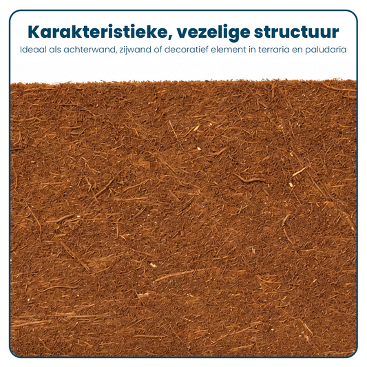 Varenwortelplaat