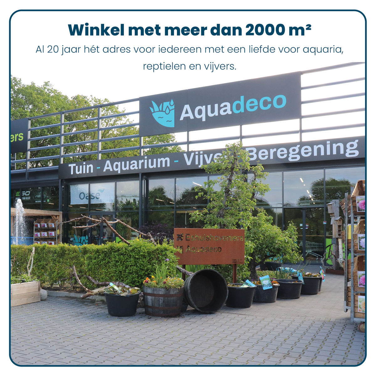 GH Plus, KH Plus, Kien & Stabiel