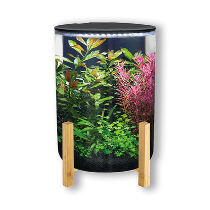 SuperFish Orbiq 11