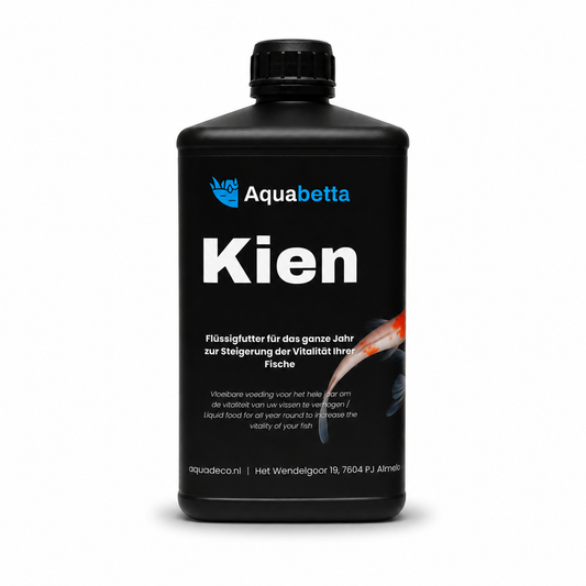 Kien