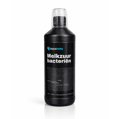 Melkzuurbacteriën