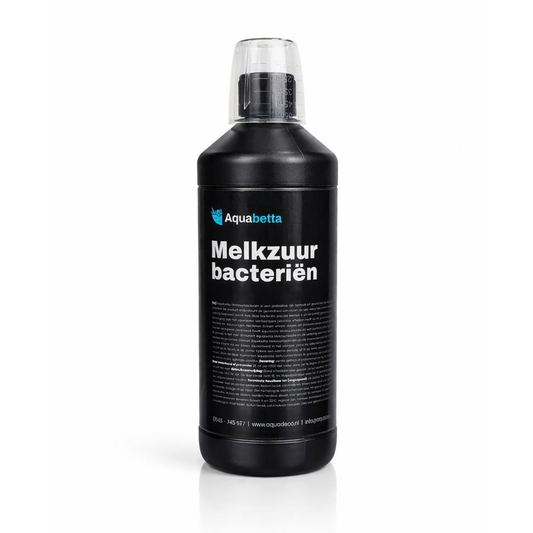 Melkzuurbacteriën