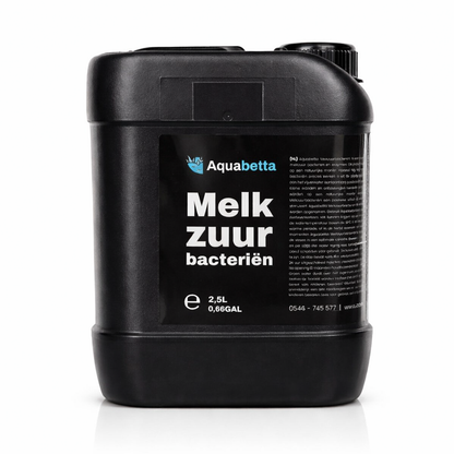 Melkzuurbacteriën