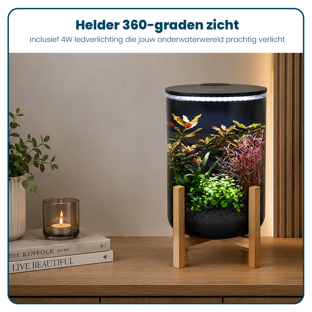 SuperFish Orbiq 11