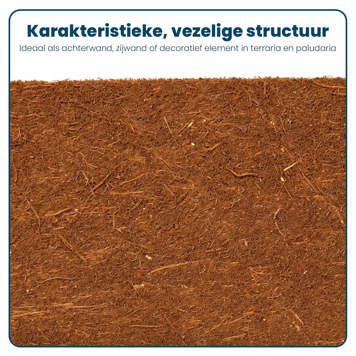 Varenwortelplaat