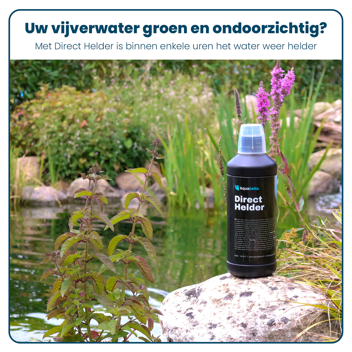 Bio Bacto, Direct Helder & Koivoer