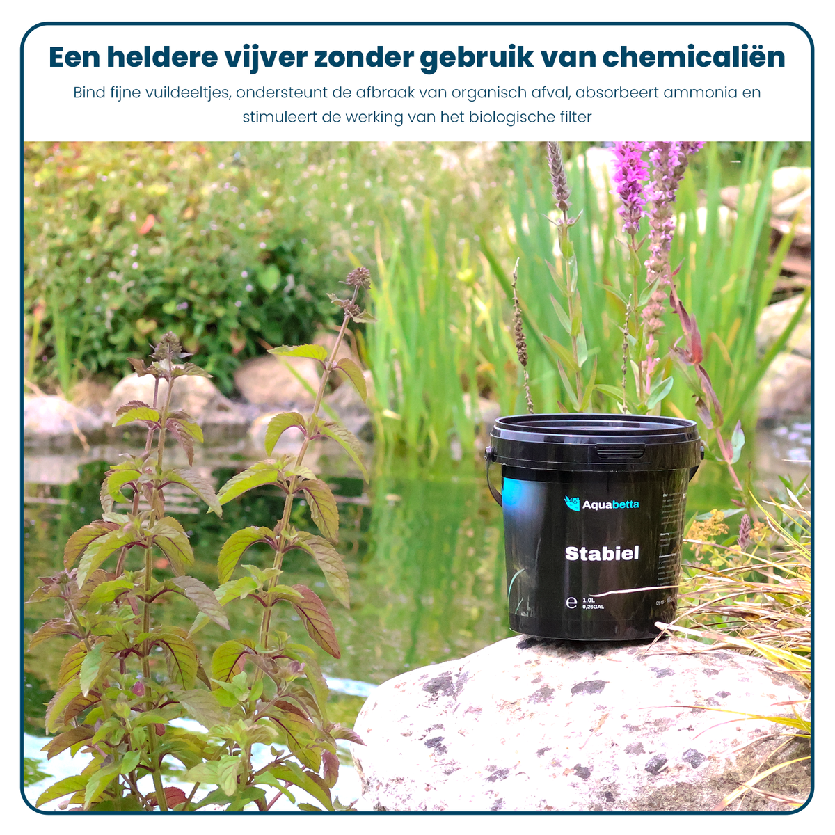 GH Plus, KH Plus, Kien & Stabil
