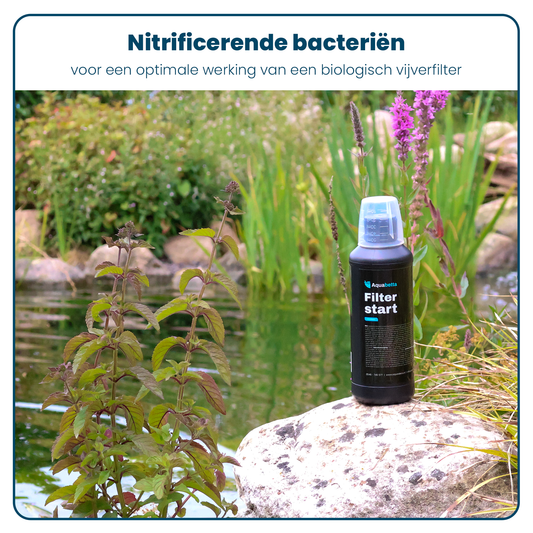 Filterstart - Vloeibaar