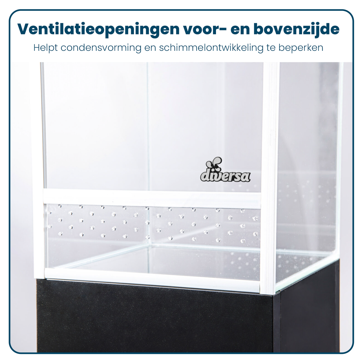 Terrarium - Dubbele Ventilatie