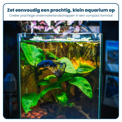 Aquarium Volglas - Vierkant