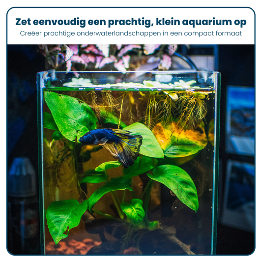 Aquarium Volglas - Vierkant