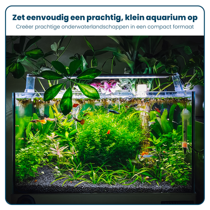 Aquarium Volglas - Rechthoekig