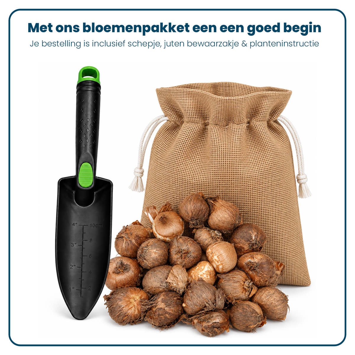Krokus Bloembollen (per 20 stuks)