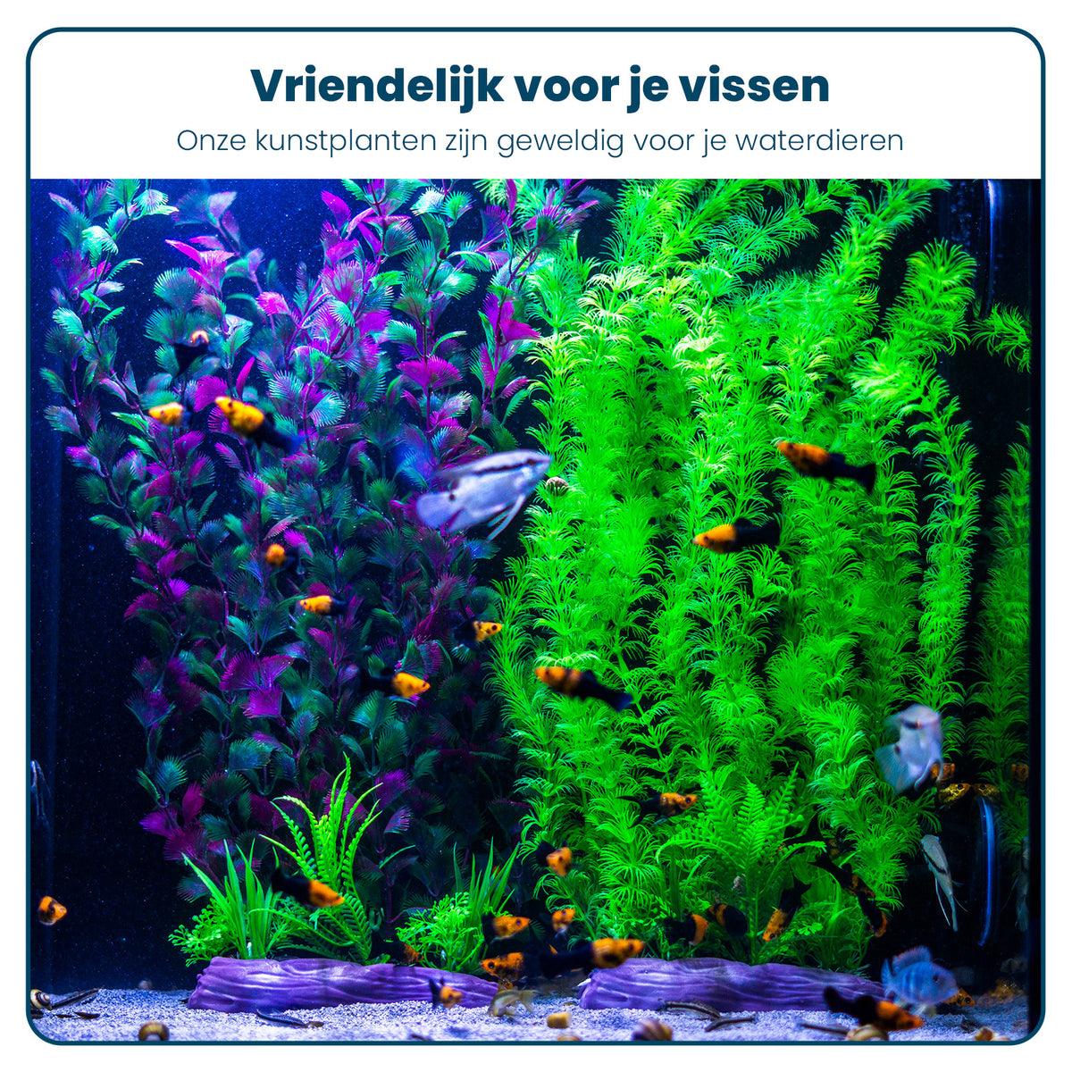 Aquarium Kunstplantenset