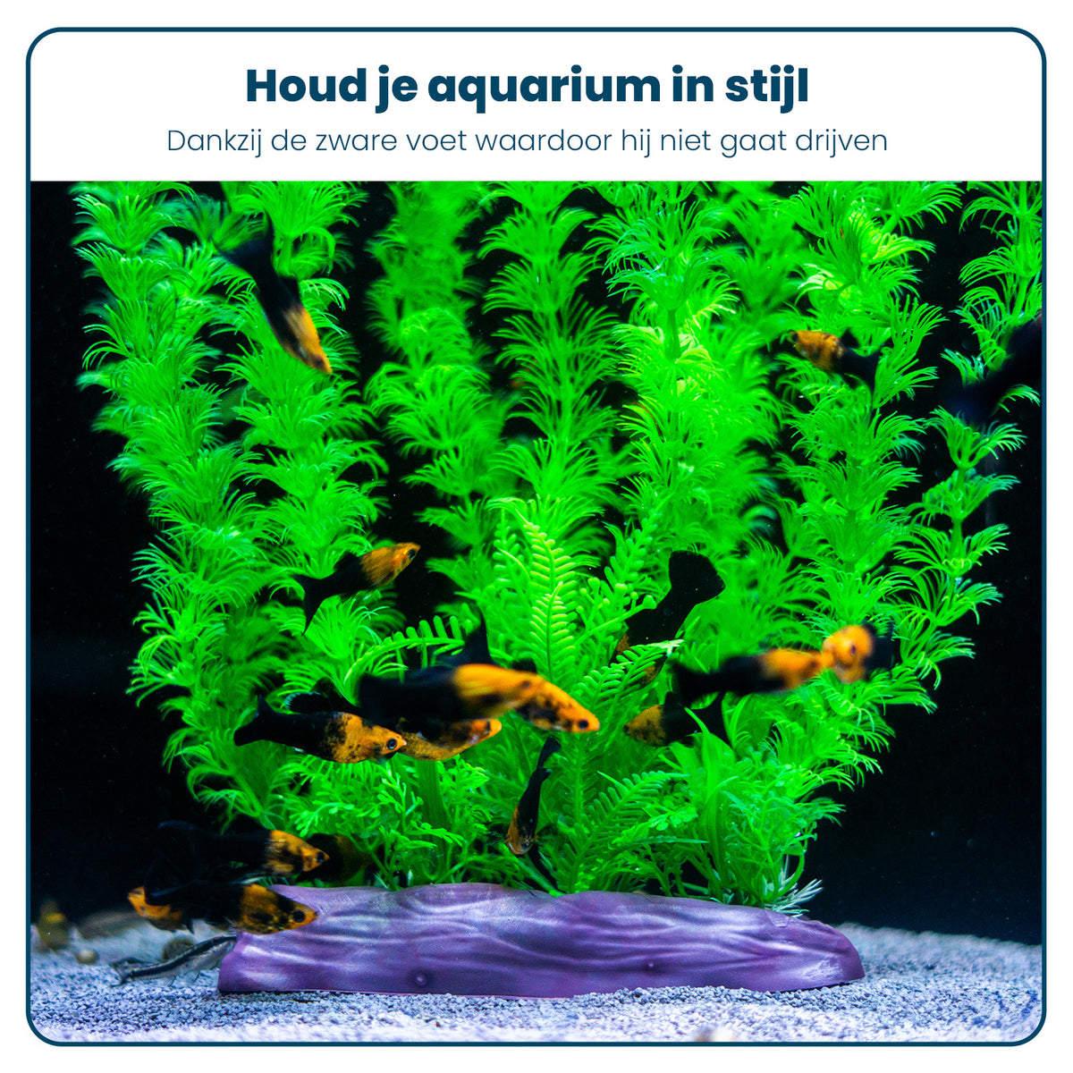Aquarium Kunstplantenset