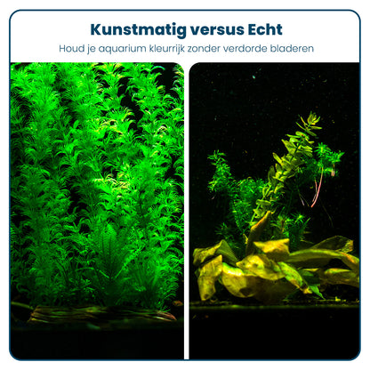 Aquarium Kunstplantenset