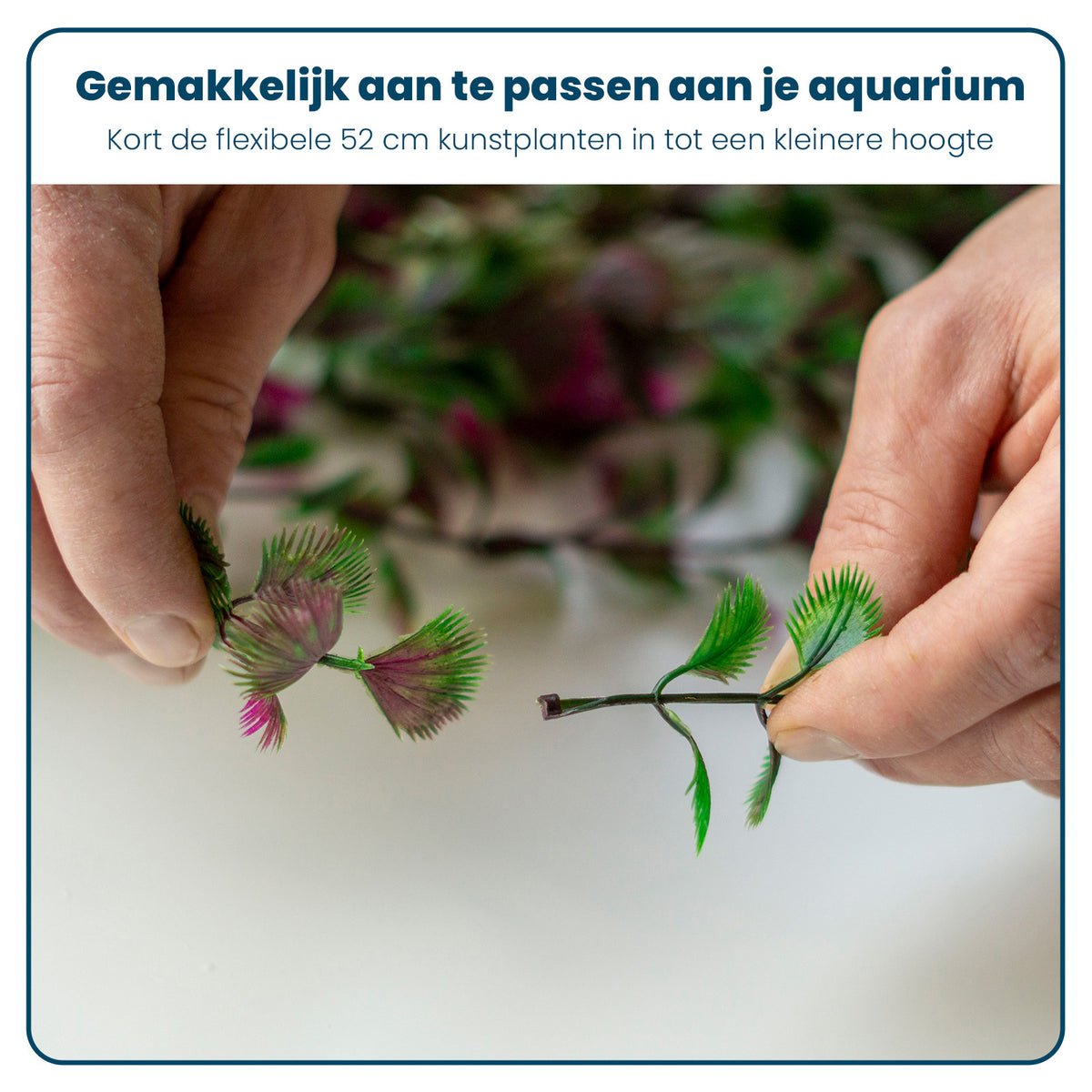 Aquarium Kunstplantenset