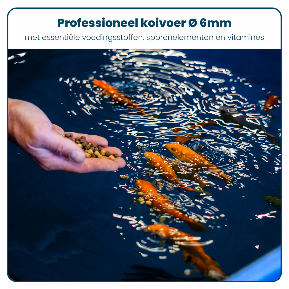 Koivoer - Mix