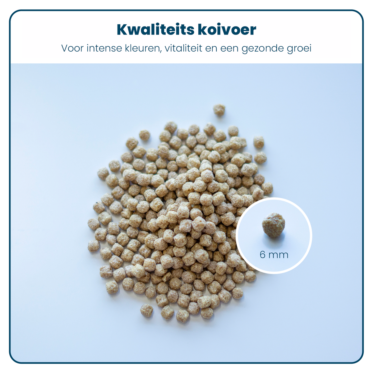 Koivoer - All Season