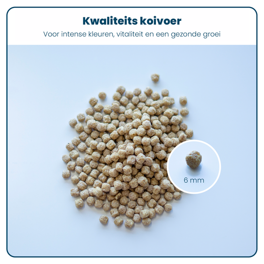 Koivoer - All Season